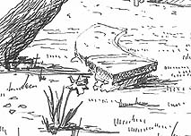 Click on the image to enlarge (59.3 kB)