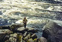 Click on the image to enlarge (109.5 kB)