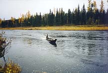 Click on the image to enlarge (72.6 kB)